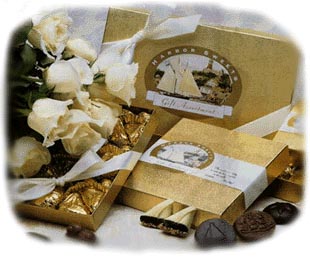 chocolate.GIF (62152 ֽ)
